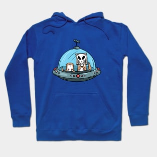 UFO (Unauthorized Flying Otters) Hoodie